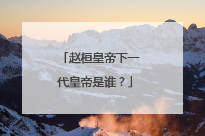 赵桓皇帝下一代皇帝是谁?