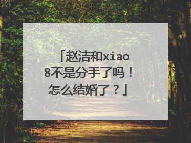 赵洁和xiao8不是分手了吗!怎么结婚了?