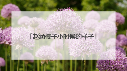 赵涵樱子小时候的样子