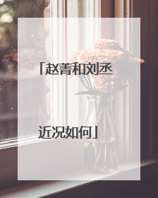 赵菁和刘丞近况如何