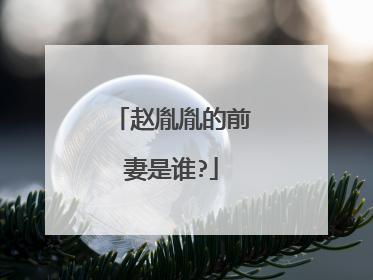 赵胤胤的前妻是谁?