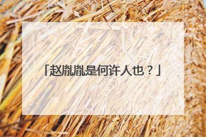 赵胤胤是何许人也？