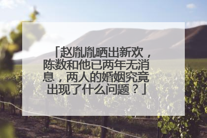 赵胤胤晒出新欢,陈数和他已两年无消息,两人的婚姻究竟出现了什么问题?