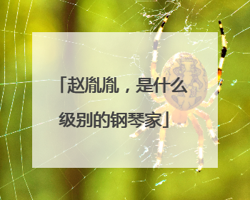 赵胤胤，是什么级别的钢琴家