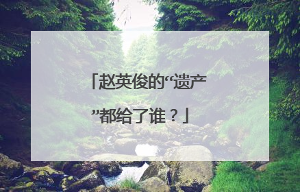 赵英俊的“遗产”都给了谁？