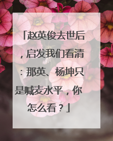 赵英俊去世后，启发我们看清：那英、杨坤只是喊麦水平，你怎么看？