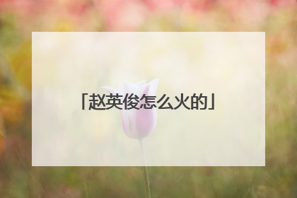 赵英俊怎么火的