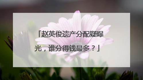 赵英俊遗产分配疑曝光，谁分得钱最多？