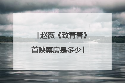 赵薇《致青春》首映票房是多少