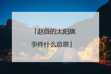 赵薇的太阳旗事件什么意思