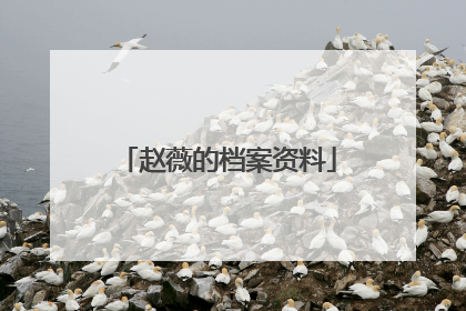 赵薇的档案资料