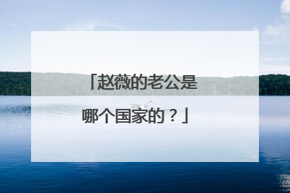 赵薇的老公是哪个国家的?