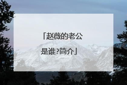 赵薇的老公是谁?简介