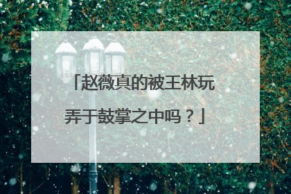 赵薇真的被王林玩弄于鼓掌之中吗?