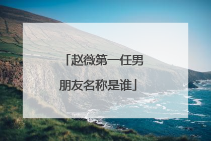 赵薇第一任男朋友名称是谁