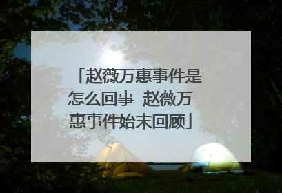 赵薇万惠事件是怎么回事 赵薇万惠事件始末回顾