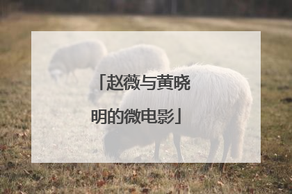 赵薇与黄晓明的微电影