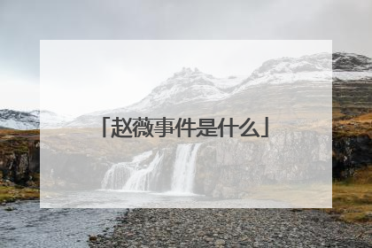 赵薇事件是什么