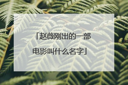 赵薇刚出的一部电影叫什么名字