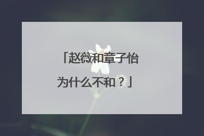 赵薇和章子怡为什么不和？