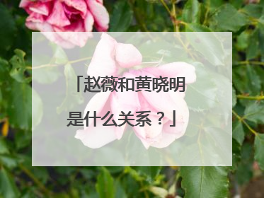 赵薇和黄晓明是什么关系？