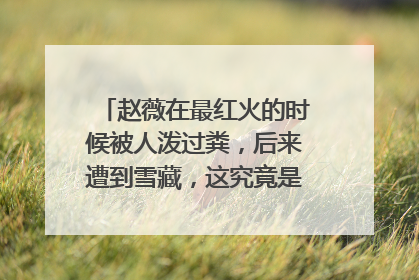 赵薇在最红火的时候被人泼过粪，后来遭到雪藏，这究竟是怎么回事？