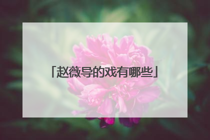 赵薇导的戏有哪些