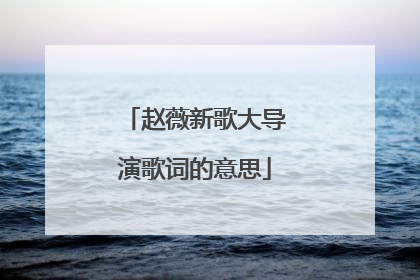 赵薇新歌大导演歌词的意思