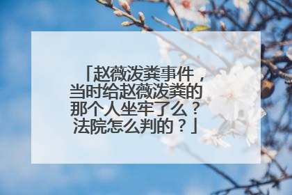 赵薇泼粪事件，当时给赵薇泼粪的那个人坐牢了么？法院怎么判的？