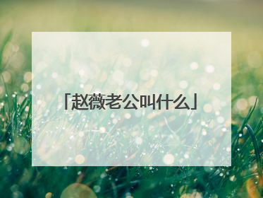 赵薇老公叫什么