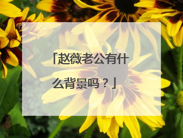 赵薇老公有什么背景吗?