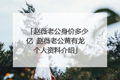 赵薇老公身价多少亿 赵薇老公黄有龙个人资料介绍