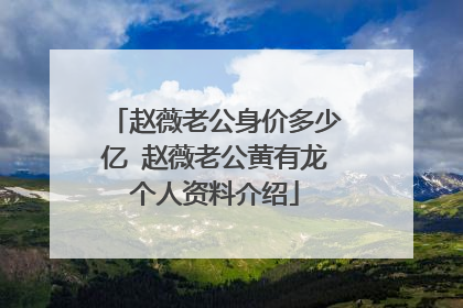赵薇老公身价多少亿 赵薇老公黄有龙个人资料介绍