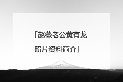 赵薇老公黄有龙照片资料简介