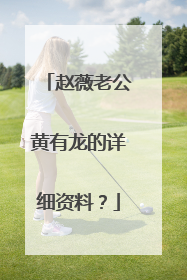 赵薇老公黄有龙的详细资料？