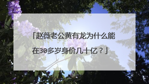 赵薇老公黄有龙为什么能在30多岁身价几十亿?