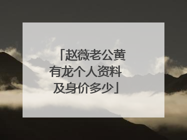 赵薇老公黄有龙个人资料及身价多少