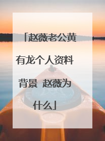 赵薇老公黄有龙个人资料背景 赵薇为什么