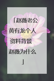 赵薇老公黄有龙个人资料背景 赵薇为什么