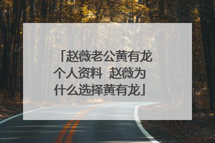 赵薇老公黄有龙个人资料 赵薇为什么选择黄有龙