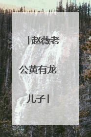 赵薇老公黄有龙儿子