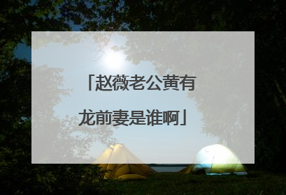 赵薇老公黄有龙前妻是谁啊