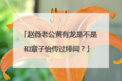 赵薇老公黄有龙是不是和章子怡传过绯闻？
