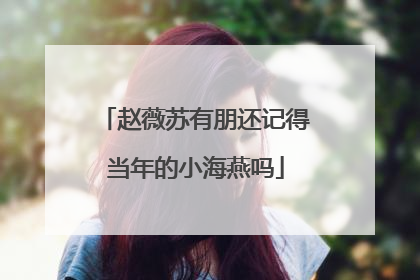 赵薇苏有朋还记得当年的小海燕吗