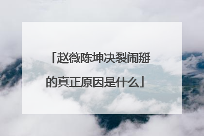 赵薇陈坤决裂闹掰的真正原因是什么