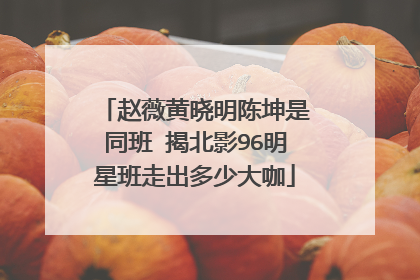 赵薇黄晓明陈坤是同班 揭北影96明星班走出多少大咖