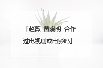 赵薇 黄晓明 合作过电视剧或电影吗