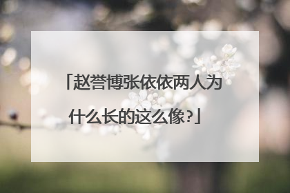 赵誉博张依依两人为什么长的这么像?