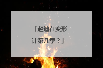 赵迪在变形计第几季？