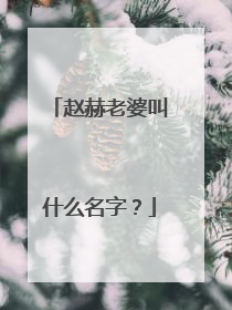 赵赫老婆叫什么名字？